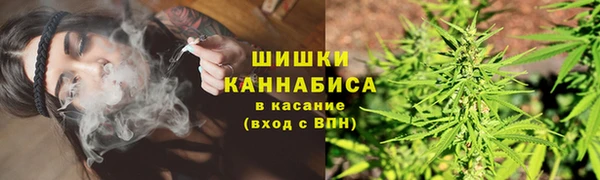 каннабис Беломорск
