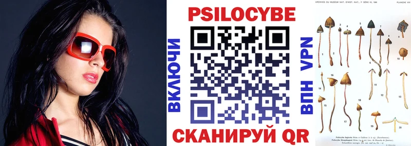 ОМГ ОМГ как войти  Шенкурск  Псилоцибиновые грибы Psilocybe  закладка 